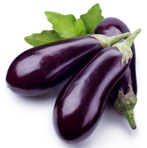 بادمجان، آنتی بیوتیک قوی